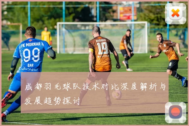 成都羽毛球队技术对比深度解析与发展趋势探讨