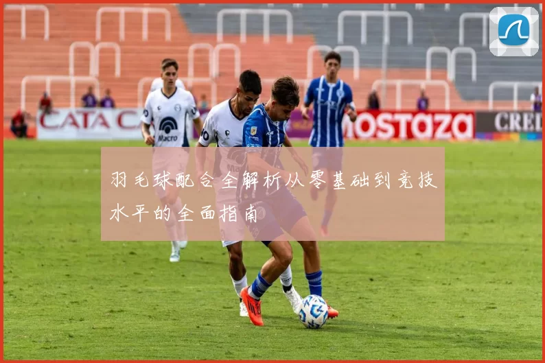 羽毛球配合全解析从零基础到竞技水平的全面指南