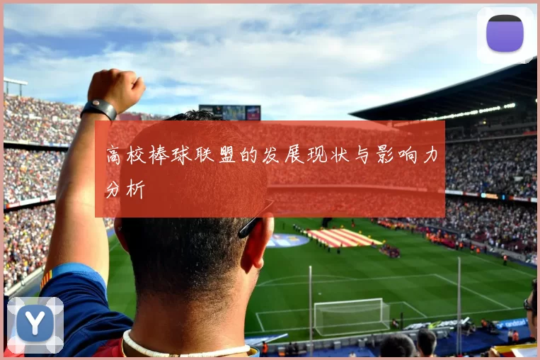 高校棒球联盟的发展现状与影响力分析