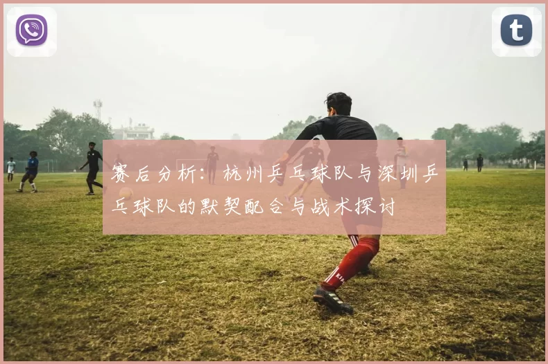 赛后分析：杭州乒乓球队与深圳乒乓球队的默契配合与战术探讨