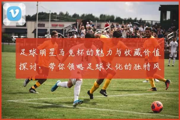 足球明星马克杯的魅力与收藏价值探讨，带你领略足球文化的独特风采