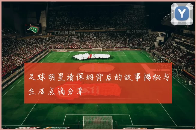 足球明星请保姆背后的故事揭秘与生活点滴分享