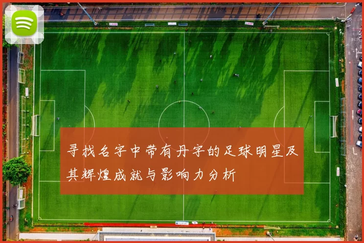 寻找名字中带有丹字的足球明星及其辉煌成就与影响力分析