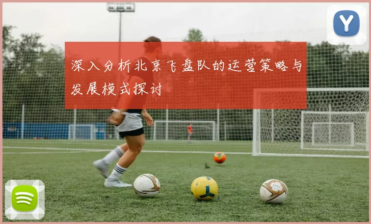 深入分析北京飞盘队的运营策略与发展模式探讨