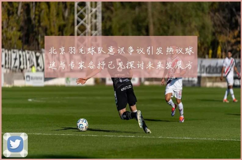 北京羽毛球队意识争议引发热议球迷与专家各抒己见探讨未来发展方向