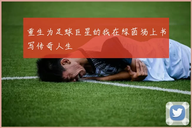 重生为足球巨星的我在绿茵场上书写传奇人生
