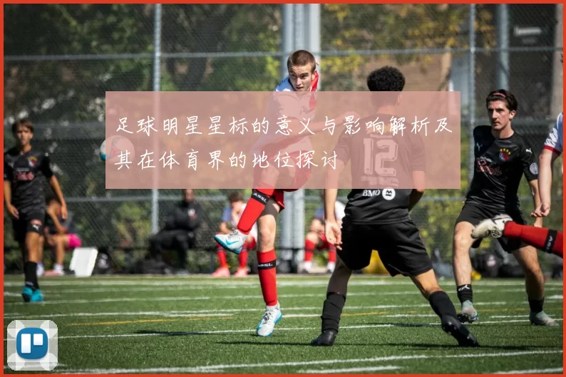 足球明星星标的意义与影响解析及其在体育界的地位探讨