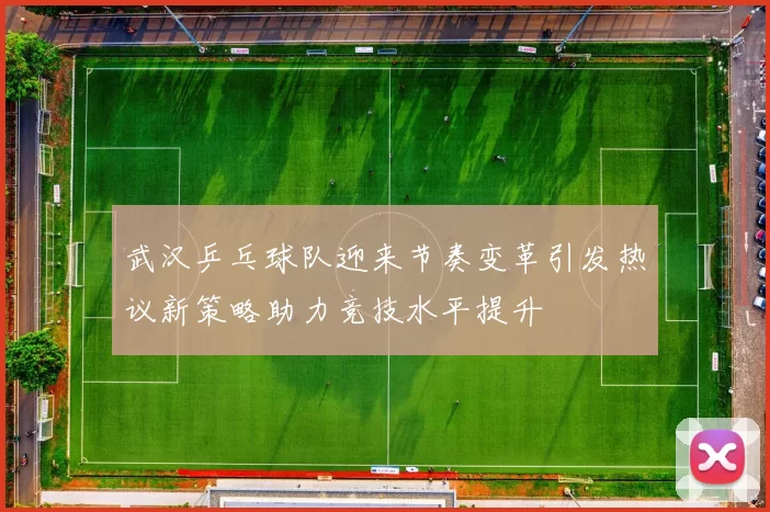 武汉乒乓球队迎来节奏变革引发热议新策略助力竞技水平提升