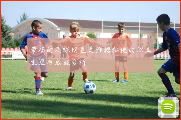 带杨的足球明星是谁揭秘他的职业生涯与成就分析