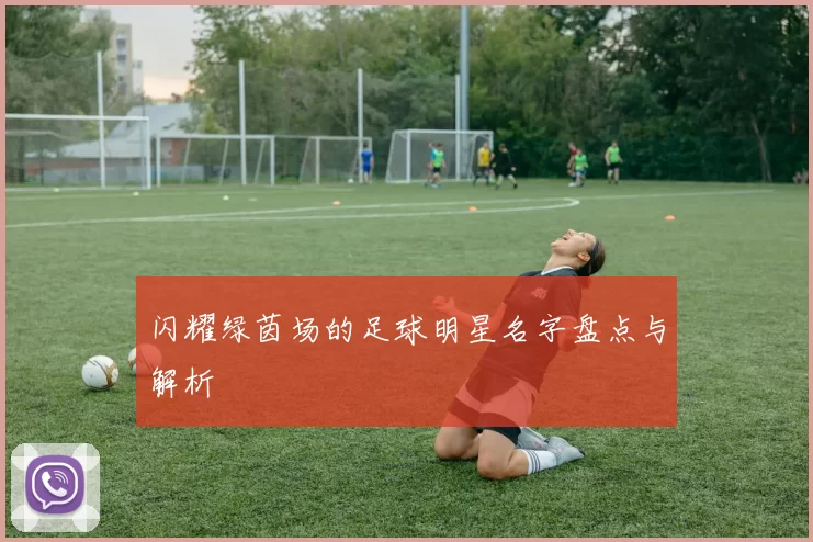 闪耀绿茵场的足球明星名字盘点与解析