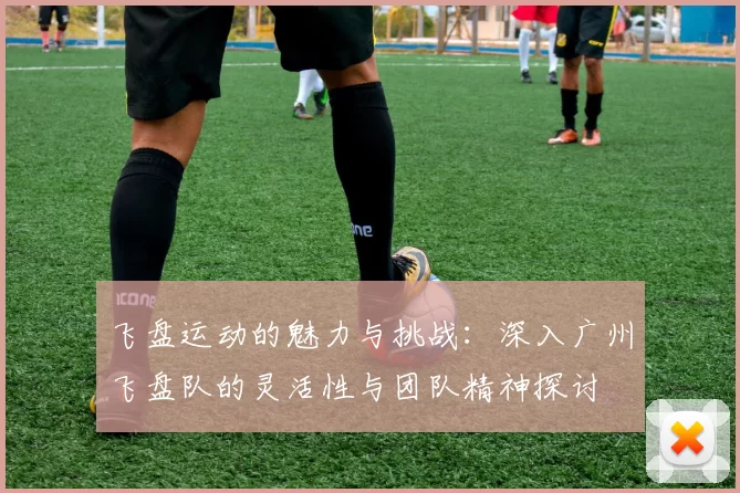 飞盘运动的魅力与挑战：深入广州飞盘队的灵活性与团队精神探讨