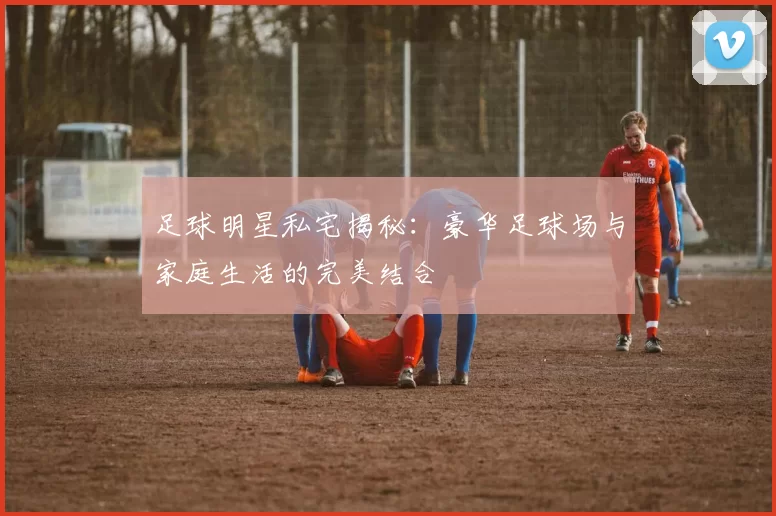 足球明星私宅揭秘：豪华足球场与家庭生活的完美结合