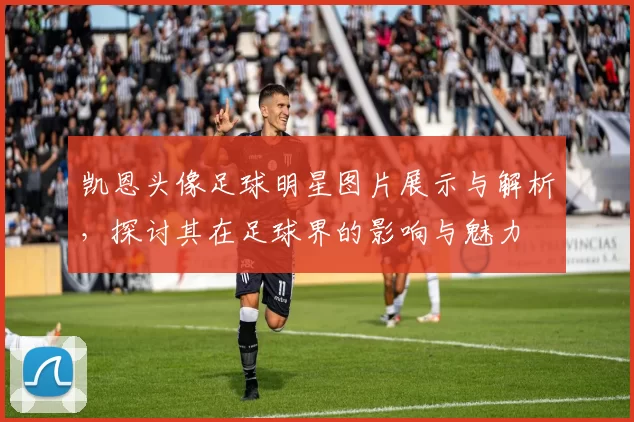 凯恩头像足球明星图片展示与解析，探讨其在足球界的影响与魅力