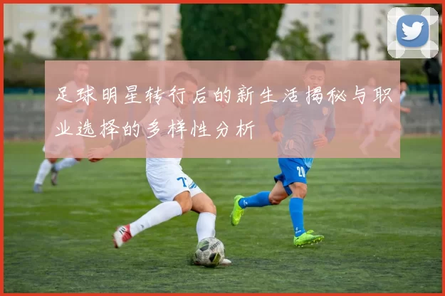 足球明星转行后的新生活揭秘与职业选择的多样性分析