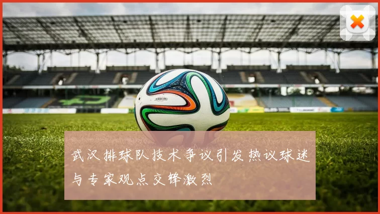 武汉排球队技术争议引发热议球迷与专家观点交锋激烈