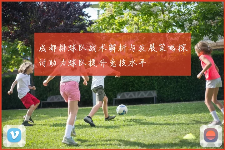 成都排球队战术解析与发展策略探讨助力球队提升竞技水平