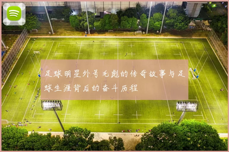 足球明星外号毛彪的传奇故事与足球生涯背后的奋斗历程