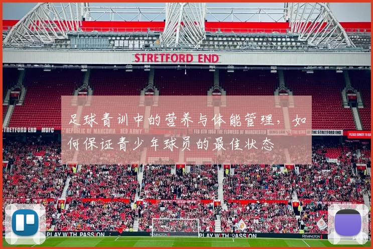 足球青训中的营养与体能管理，如何保证青少年球员的最佳状态