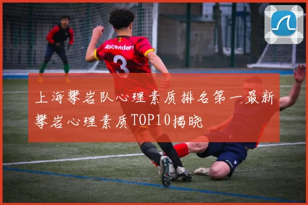 上海攀岩队心理素质排名第一最新攀岩心理素质TOP10揭晓