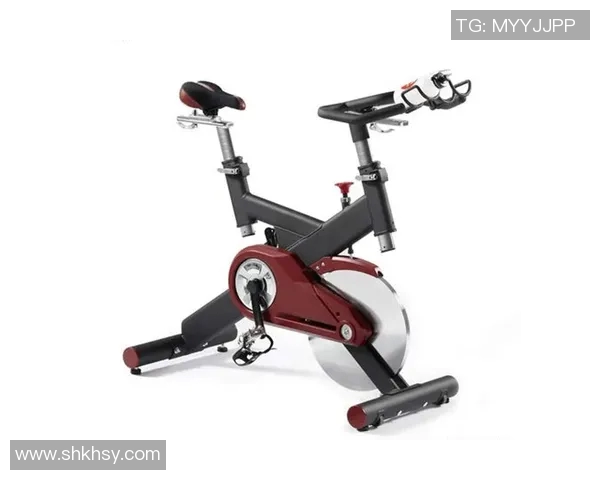 简单的健身器材有哪些：介绍几款简易而高效的健身器材