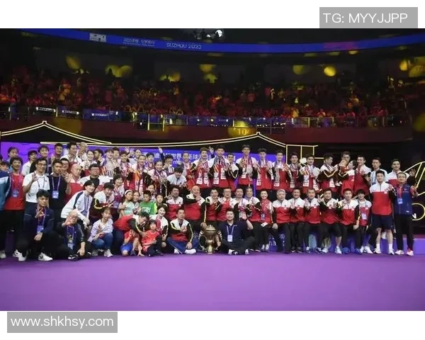 南京羽毛球队在杯赛中的速度表现分析与战术探讨