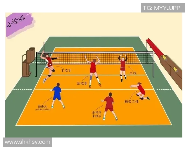 广州排球队战术解析：聚焦排球竞技中的策略与团队协作