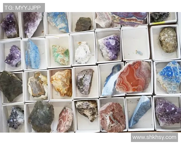 对话杨秀英：探索攀岩生涯背后的坚持与梦想